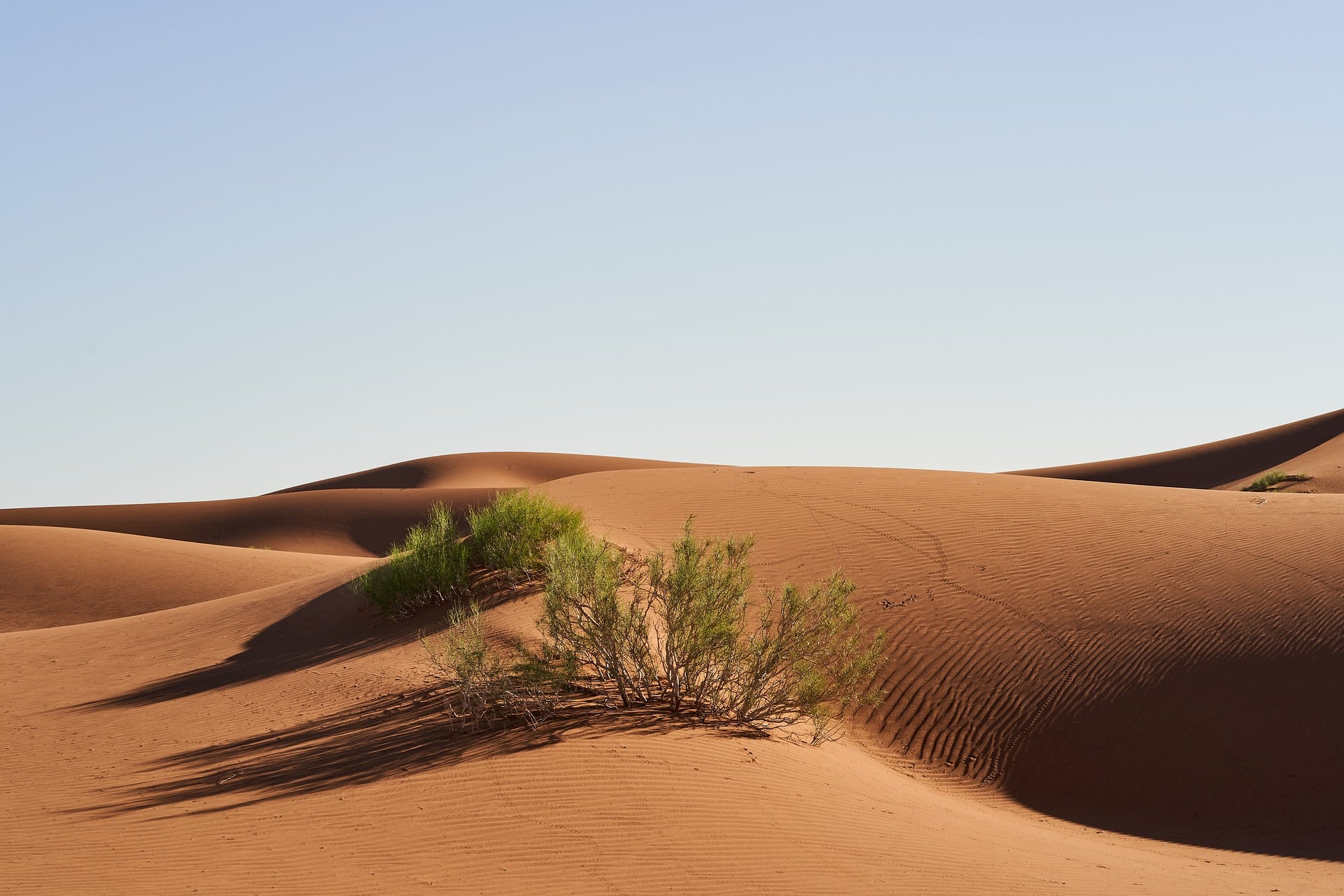 6df7c1b6-6311-4f8e-934b-e878a9d52929-wolfgang_hasselmann-desert-9985132_1920.jpg